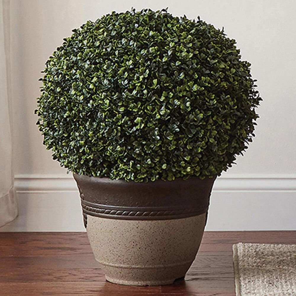 Timberlake Pure Garden Potted Faux Boxwood Topiary in Forest Green, , large