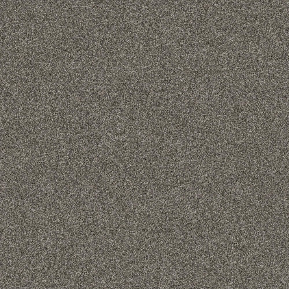 Shaw Yes You Can II Carpet in Rerooted Nature, , large