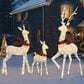 HOMLUX 3-Piece Cotton Rope Reindeer with Warm White LED Lights in White, , large