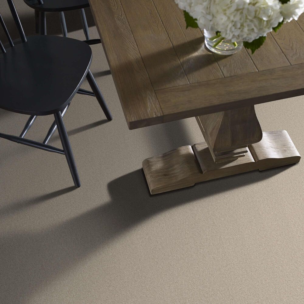 Shaw Las Cruces Carpet in Fresh Perspective, , large