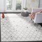 Safavieh Adirondack ADR132B 3" x 5" Ivory and Grey Area Rug, , large