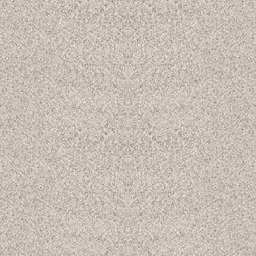 Dixie Home Noble Guardian Carpet in Fetch, , large