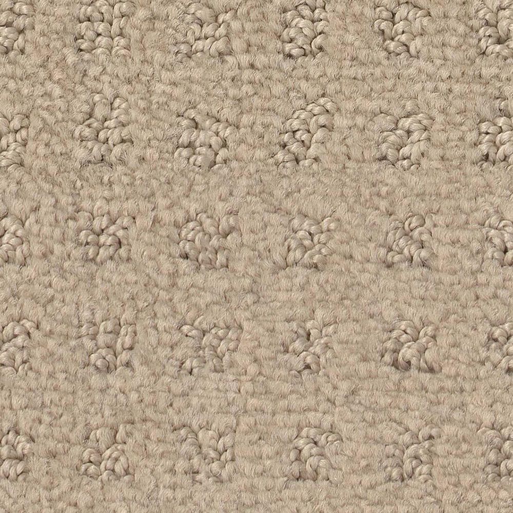 Anderson Tuftex West Coast Carpet in Terrazo, , large