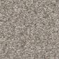 Shaw You Got This I Carpet in Chic Greige, , large