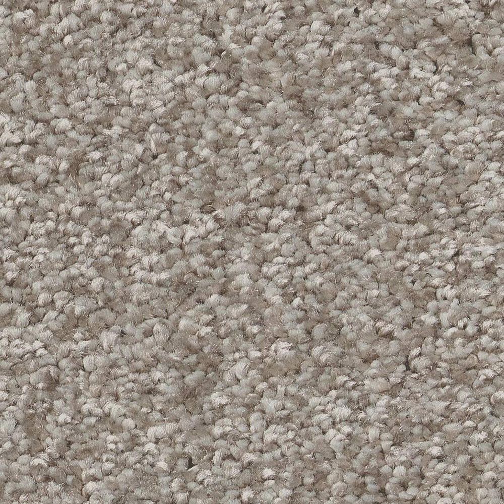Shaw You Got This I Carpet in Chic Greige, , large