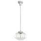 Hunter Saddle Creek 10" 1-Light Pendant with Clear Seeded Shade in Brushed Nickel, , large