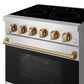 Thor Kitchen Gordon Ramsay 30" Eletric Range Color Kit in Bronze, , large