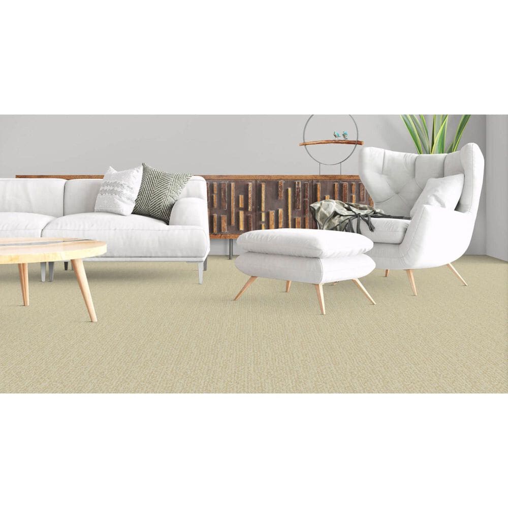 Masland Mesa Verde Carpet in Lancaster, , large