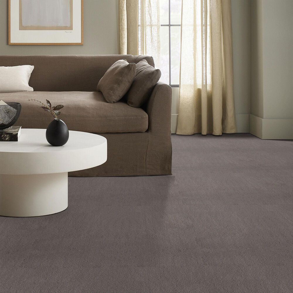 Anderson Tuftex Luxe Feel II Carpet in Pacific, , large