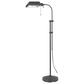 Cal Lighting Pharmacy Floor Lamp in Grey, , large