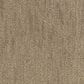 Dixie Home Legacy Carpet in Lava, , large