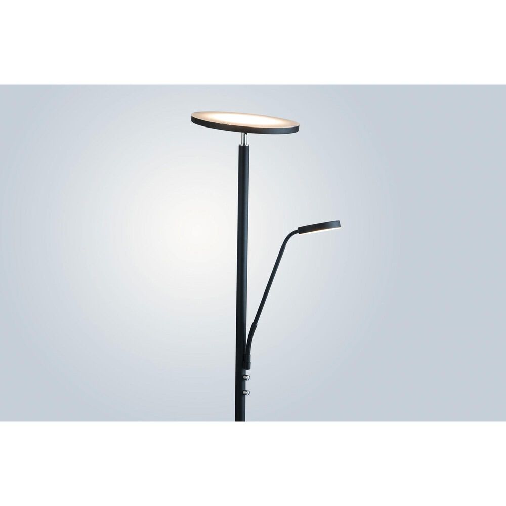 Lite Source Monet Floor Lamp in Black, , large