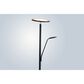 Lite Source Monet Floor Lamp in Black, , large