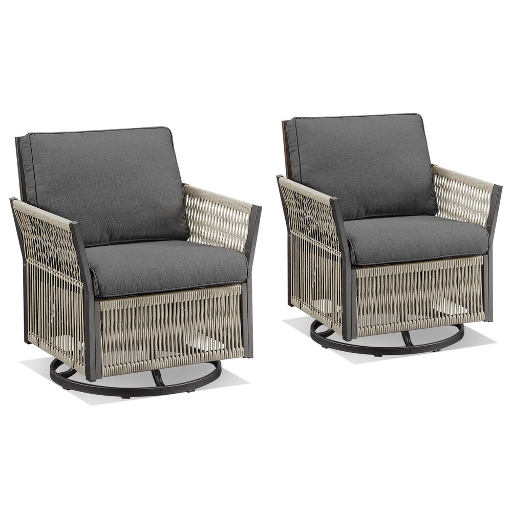 Sunwell Garden Patio Swivel Glider Chair in Dark Gray (Set of 2), , large