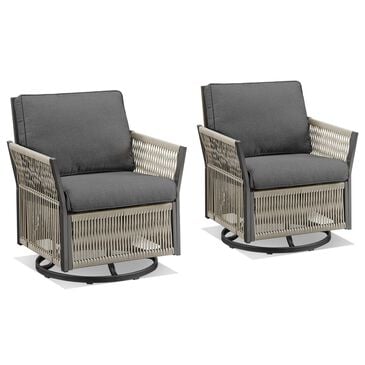 Sunwell Garden Patio Swivel Glider Chair in Dark Gray (Set of 2), , large