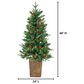The Gerson Company 4" Potted Pre-Lit Artificial Georgia Pine with White LED Lights in Green, , large