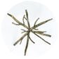 Furniture of America Lalia Side Table with Tempered Glass Top and Tree Branch Base in Matte Gold, , large
