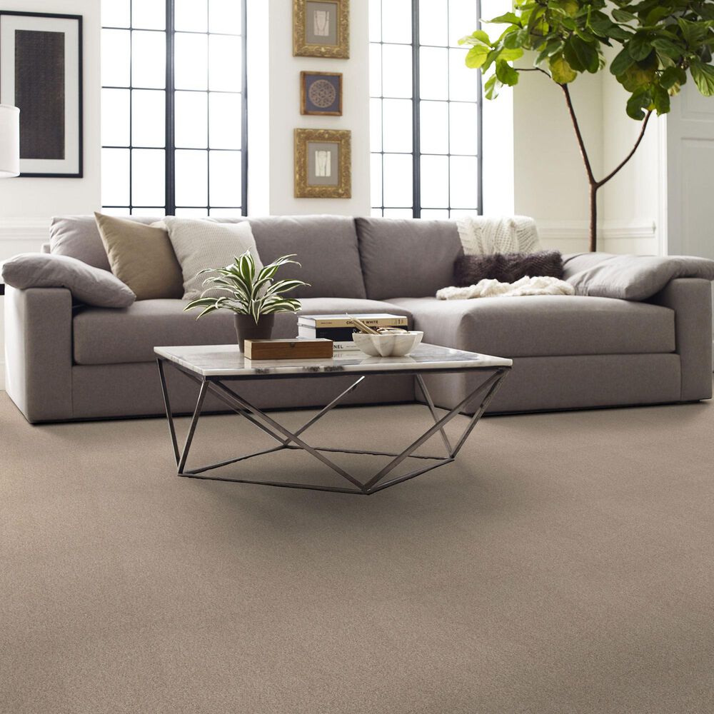 Shaw Comforting I Carpet in Mesa, , large