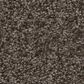 Shaw You Got This I Carpet in Urban Rustic, , large