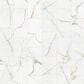 Shaw Majestic Drift 12" x 24" Porcelain Tile, , large