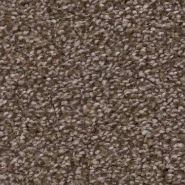 Shaw Truspirit Ii Carpet in Chestnut, , large
