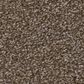 Shaw Truspirit Ii Carpet in Chestnut, , large
