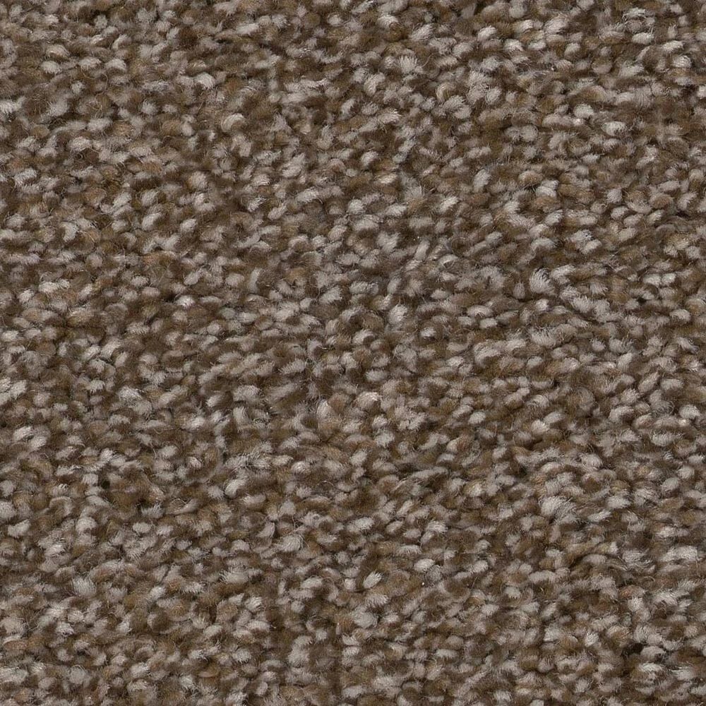 Shaw Truspirit Ii Carpet in Chestnut, , large