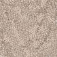 Anderson Tuftex Lavish Living Carpet in Natural Beauty, , large