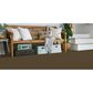 Masland Panache Carpet in Bronze, , large