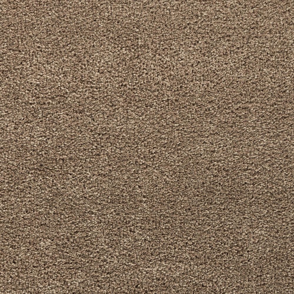 Mohawk Natural Confidence Carpet in Navajo Path, , large