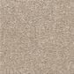 Shaw Easy Spirit III 15" Carpet in Dreamy, , large