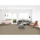 Dixie Home Riverbend Carpet in Pebble, , large