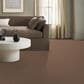 Anderson Tuftex Inspired Carpet in Copper, , large