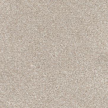 Dixie Home Maverick Carpet in Sheltie, , large