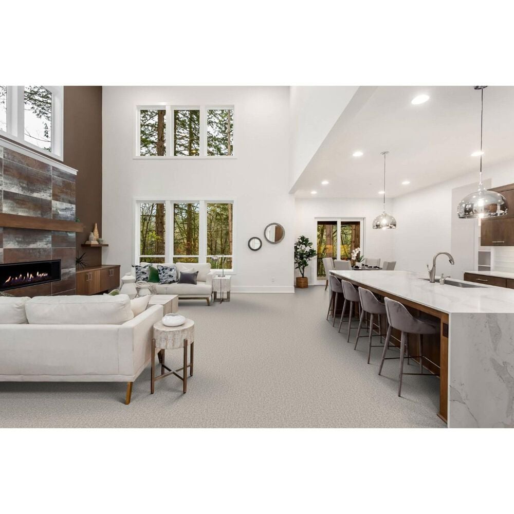 Masland Offspring Carpet in New Yorke, , large