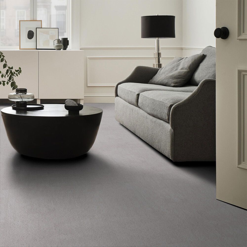 Anderson Tuftex Luxe Feel II Carpet in Luna, , large