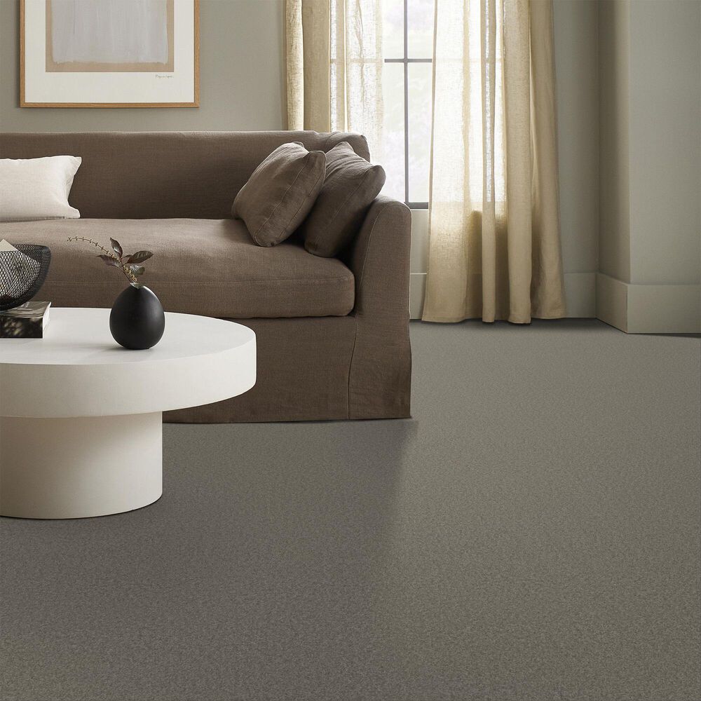 Anderson Tuftex Enchanting Carpet in Lunar Rock, , large