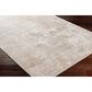 Surya Solar SOR2324 2" x 3" Ivory, Wheat, Taupe, Cream and Tan Area Rug, , large