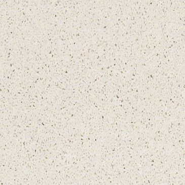 Anderson Tuftex Barracan Classic IV Carpet in Icelandic, , large