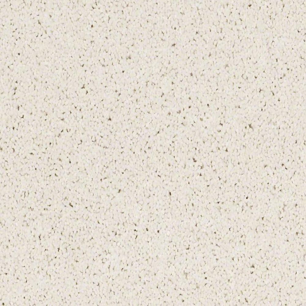 Anderson Tuftex Barracan Classic IV Carpet in Icelandic, , large