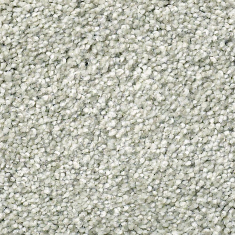 Shaw Find Your Comfort TT II Carpet in Willow Tree, , large