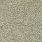 Karastan Dover Coast Carpet in Cliffside, , large