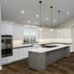 Lions Floor District Max Brookline 7" x 48" Luxury Vinyl Plank, , large