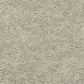 Godfrey-Hirst Inspiring Selection Carpet in Homespun, , large