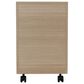 BDI Sequel Studio Mobile File Pedestal in Neo Oak and Bronze, , large