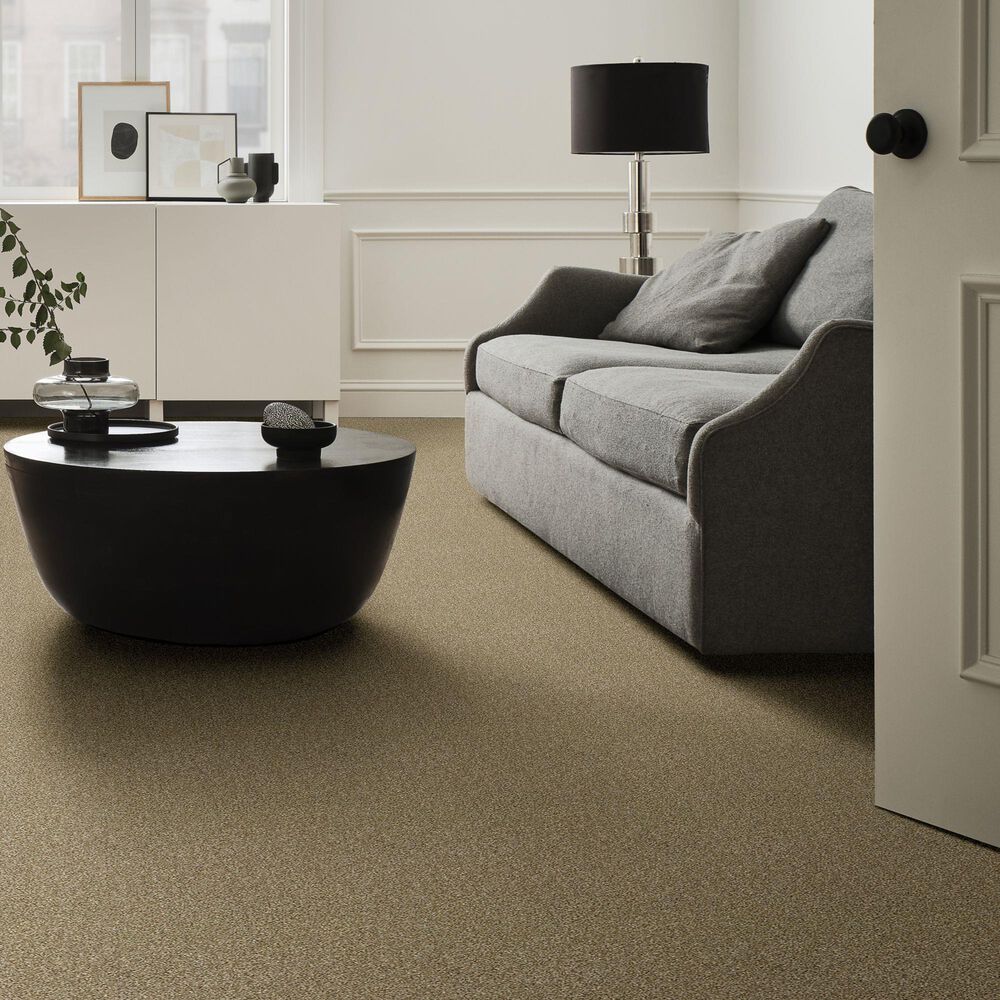 Shaw Cabana Bay Tonal Carpet in Dried Clay, , large