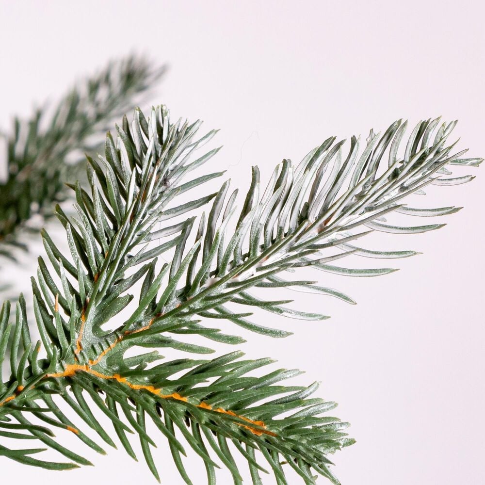The Gerson Company 3' Potted Pre-Lit Artificial Frosted Pine with White Lights in Green, , large