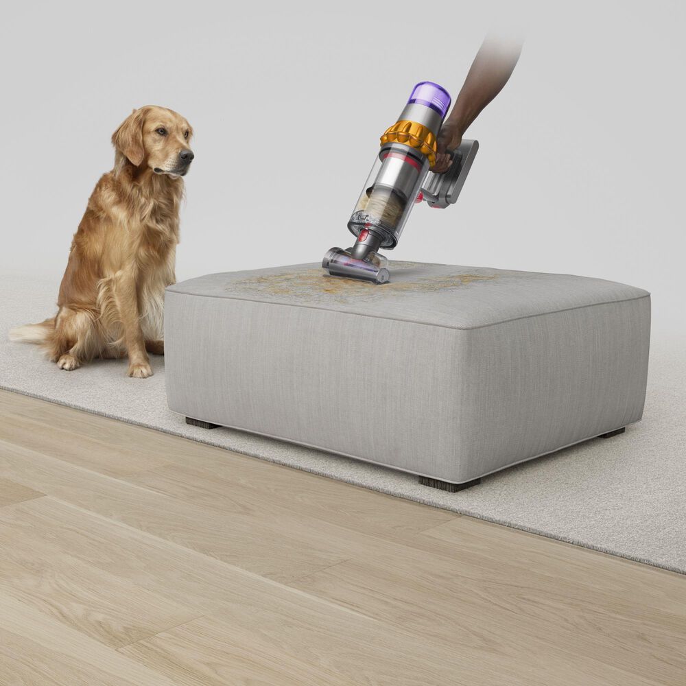 Dyson V15 Detect Cordless Vacuum Cleaner in Yellow/Nickel, , large