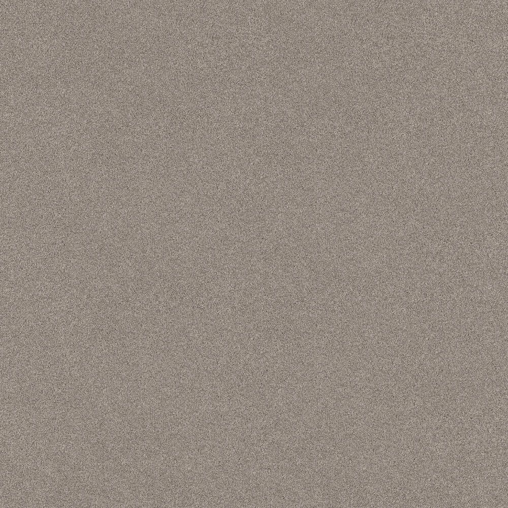 Shaw Tonal Comfort I Carpet in Back Patio, , large