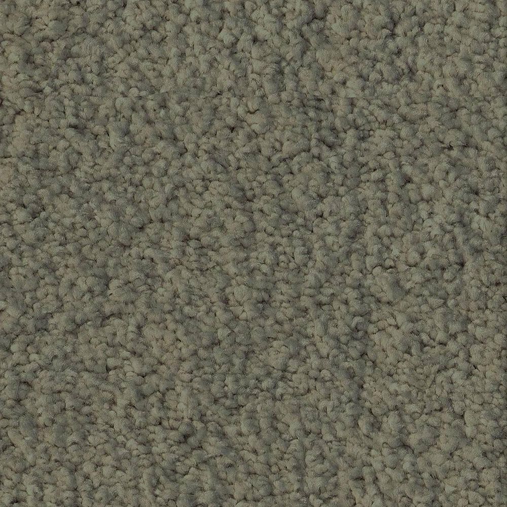 Anderson Tuftex Luxe Feel II Carpet in Bonsai, , large
